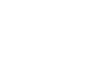 35-logo
